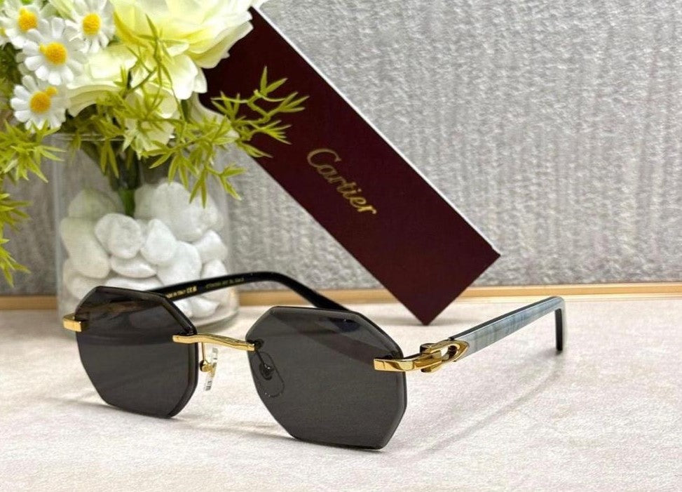 Sunglass