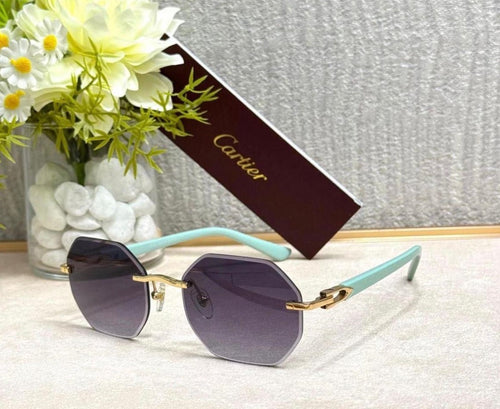 Sunglass